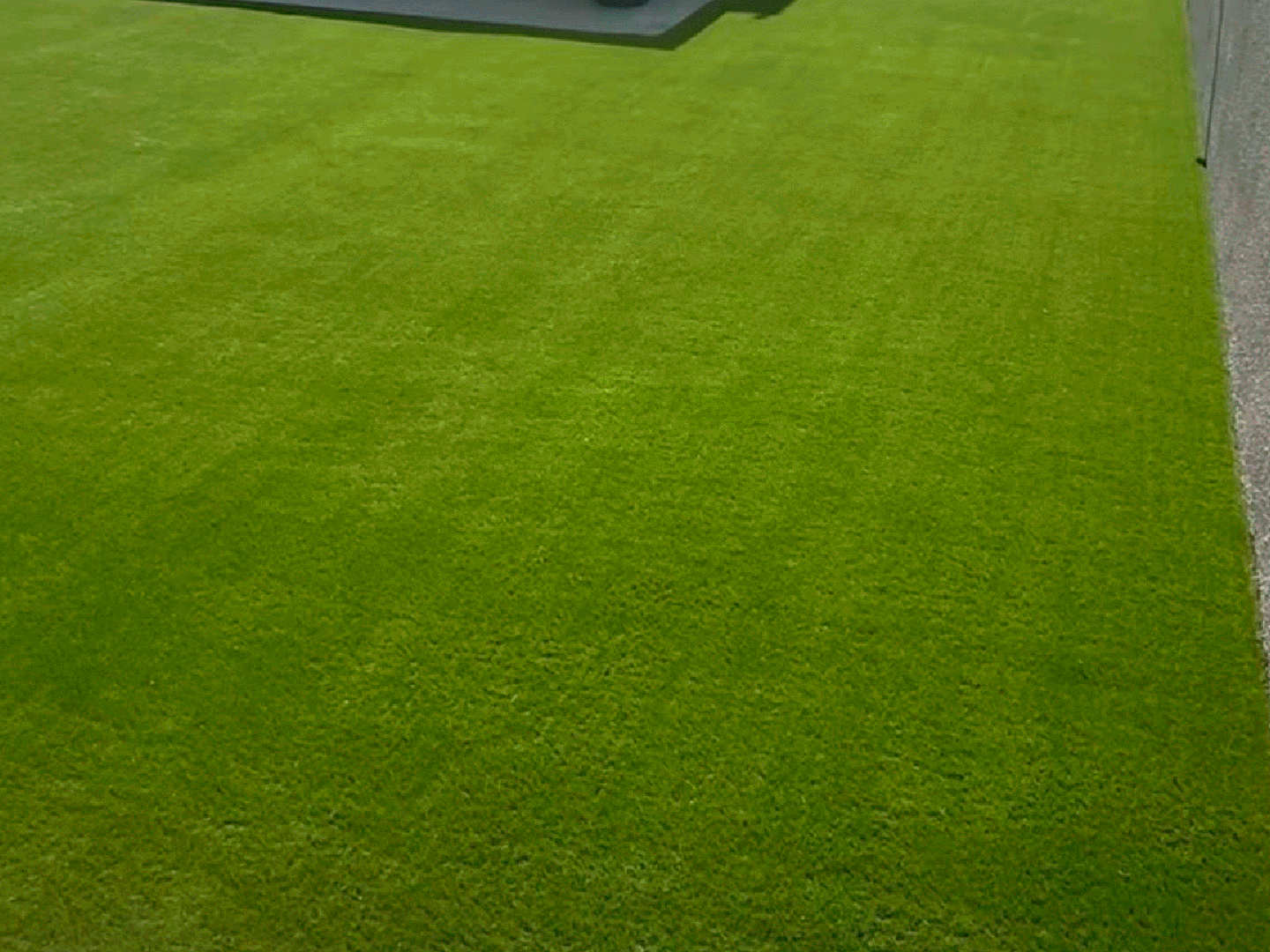 Artificial turf close-up high quality Orlando FL