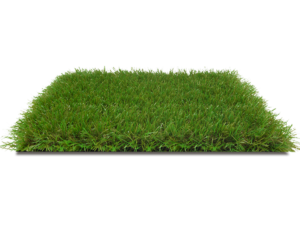 Artificial turf grass installation Orlando FL